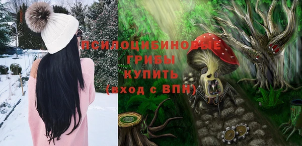 метадон Белокуриха