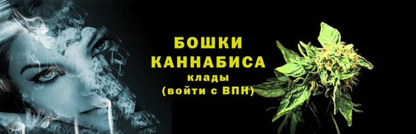 метадон Белокуриха