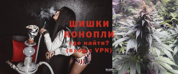 метадон Белокуриха
