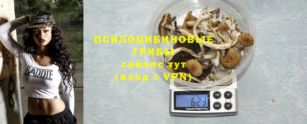метадон Белокуриха